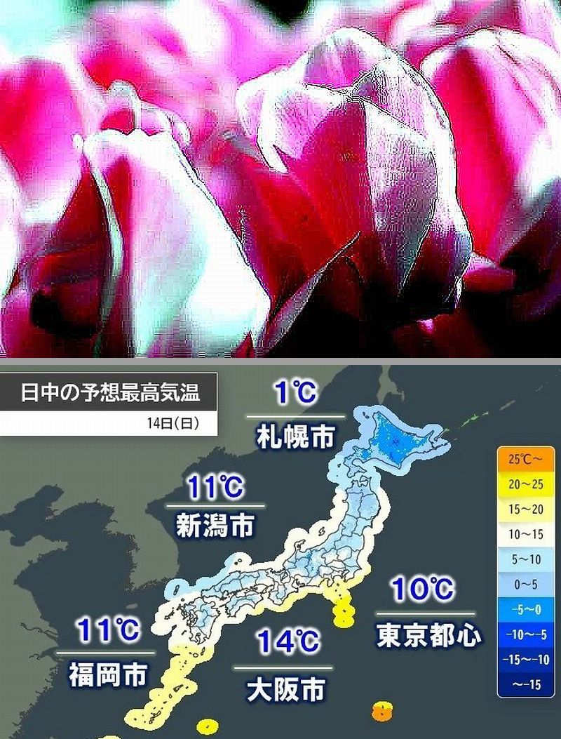 おはようございます